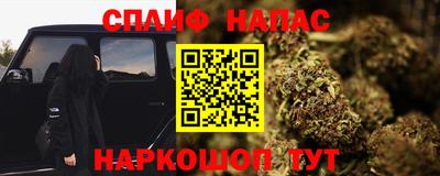 гидра Владикавказ