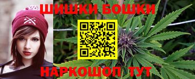гидра Владикавказ